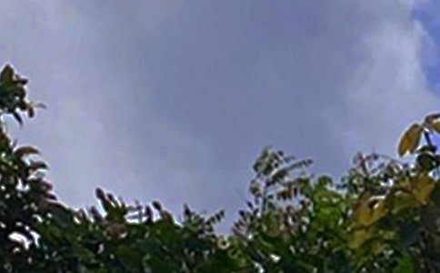 Ψ���簲�Z䛅R����ͨ��80�䣩