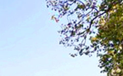 �P(gu��n)�������簲�Z䛣�ͨ��40�䣩