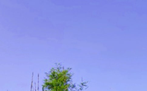 ��(j��ng)���־�簲����80�侫�x