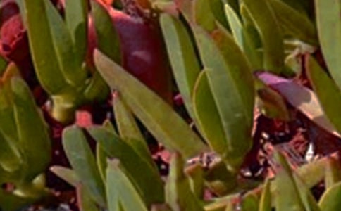 ��(j��ng)�䂀(g��)���簲���������x345�䣩