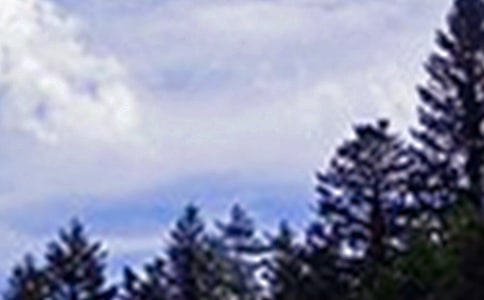 ΢������Ȧ�簲ף���Z