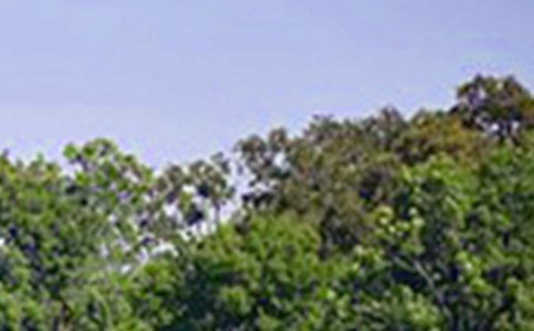 �P(gu��n)�ڂ�(g��)���簲�Z䛅R�������x70�䣩