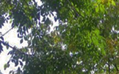 ��(j��ng)�䂀(g��)���簲����40�侫�x