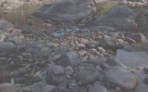 ��СϪ���ĸ衷��x�������}