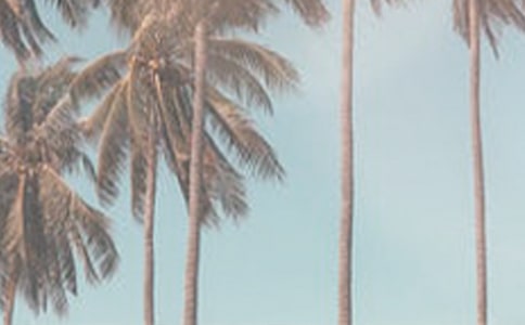 �ļ���(ji��)���V�Z(y��)