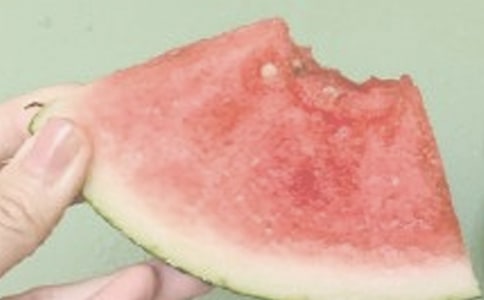 ���꼉�������ģ���������