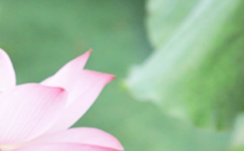 �c�������P(gu��n)���V�Z210�l
