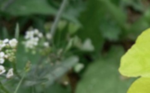 �c�������P(gu��n)���V�Z