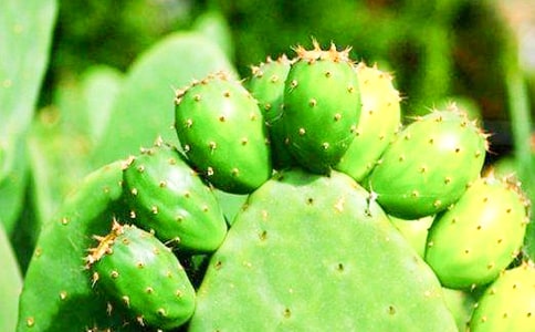 �i���������Ƶ��i�Z(y��)
