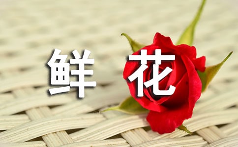 �r����x�}Ŀ