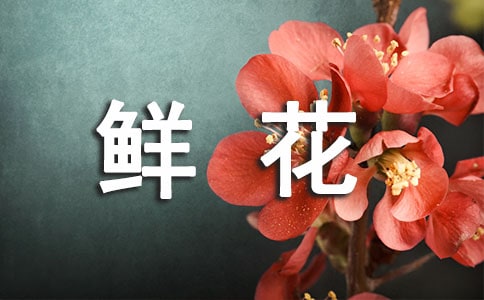 һ���r�����Ǵ���ǧ���f���_�M�@