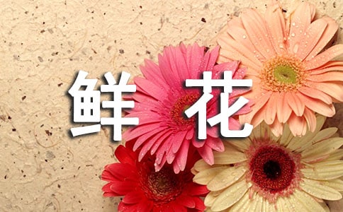 һ���r��
