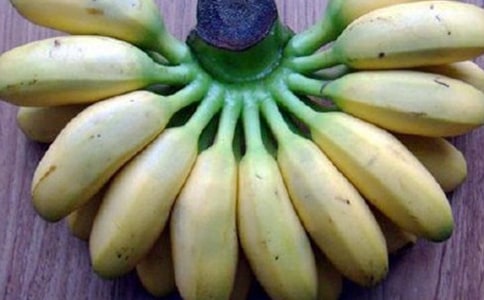 �㽶����