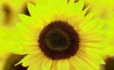 �������տ��ă�(y��u)�����ӣ�ͨ��120�䣩