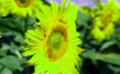 ���տ����꼉���ģ����x70ƪ��