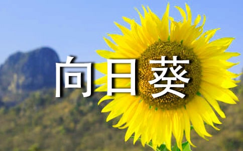 �ҵ����տ��_����
