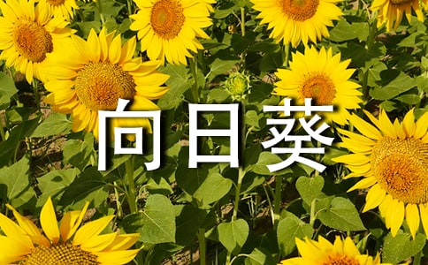 ����(y��u)�����տ��������꼉3ƪ