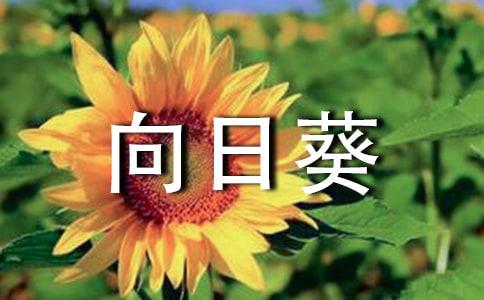 ��ϲ�g���տ�