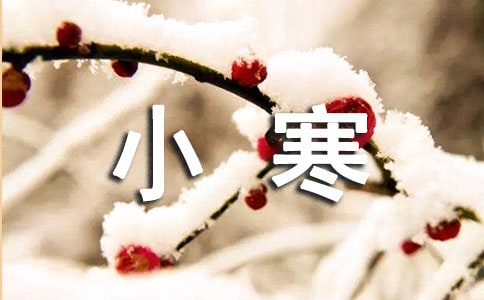 �cС�����P(gu��n)���V�Z(y��)