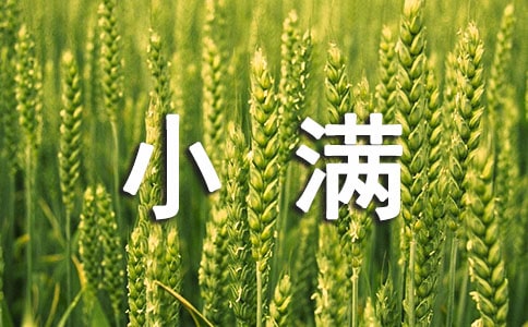 �P(gu��n)��С�M��(ji��)��Ľ�(j��ng)���V�Z