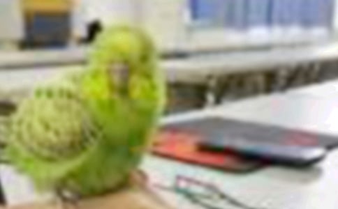 С�B����