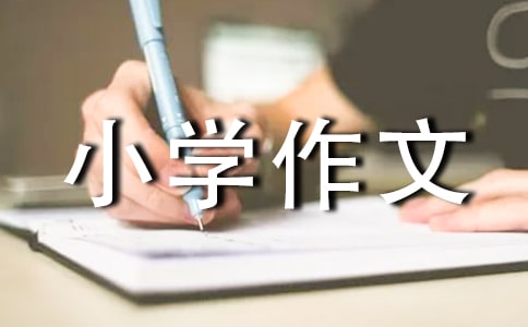 (���x)���꼉С�W(xu��)����