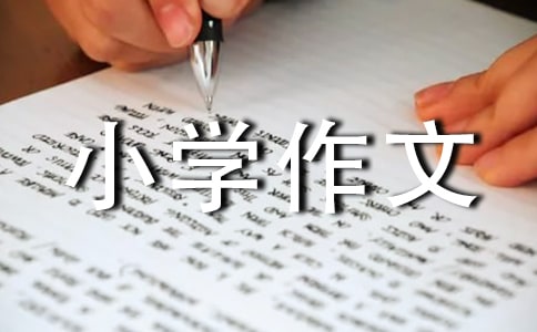 ���꼉С�W(xu��)����