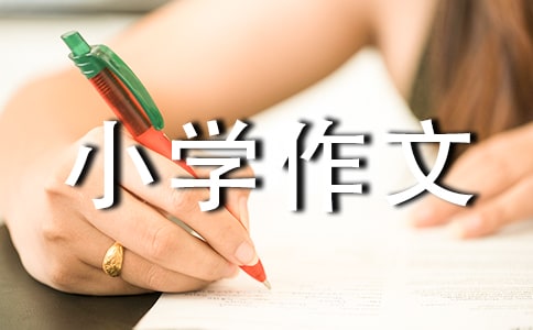 �ҵ����꼉С�W(xu��)���ľ�ƪ