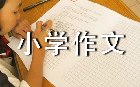 ���µ�С�W(xu��)�����u(p��ng)�Z