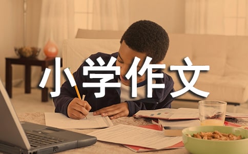 ���꼉(j��)С�W(xu��)����(��Ʒ)