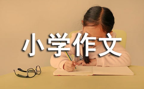 С�W(xu��)�����زģ����x26ƪ��