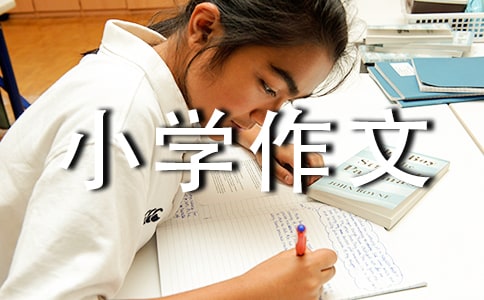 ���꼉(j��)С�W(xu��)����4ƪ(��(j��ng)��)