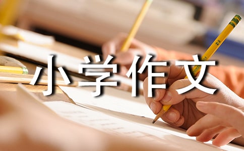 ���؂䣩���꼉(j��)С�W(xu��)����