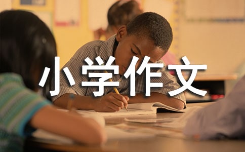 ���꼉С�W(xu��)����(����5ƪ)