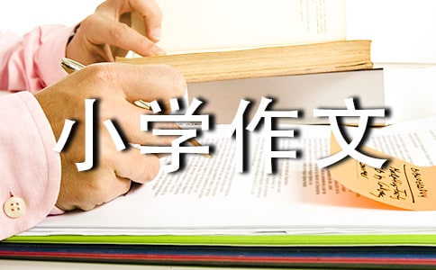 ���꼉С�W(xu��)���ĺϼ���4ƪ��