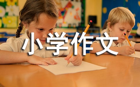 С�W(xu��)�����u�Z300��