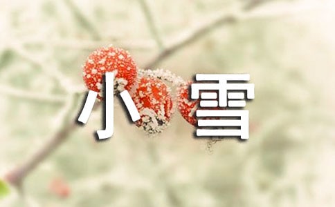 Сѩ��(ji��)�����P(gu��n)���V�Z��ͯ�{