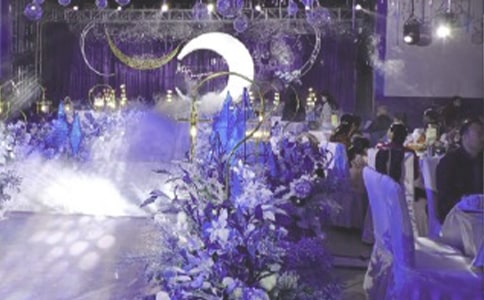 ��ĸ����������o����