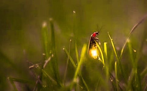 СΞ���x(ch��ng)����