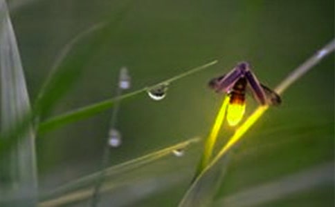 �Ұl(f��)�F(xi��n)Ξ���x�l(f��)����������꼉��������