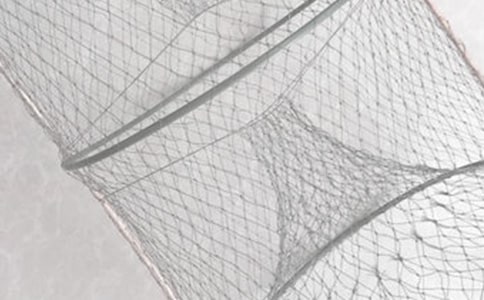 �x�O������ĝO�W�и�