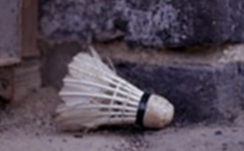 �ҌW(xu��)��(hu��)�˴���ë�����꼉(j��)��������