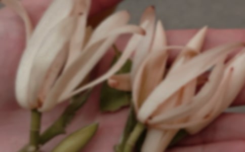 �P(gu��n)�����m�����꼉(j��)����300����ƪ