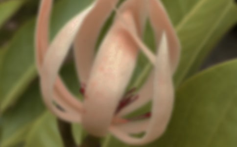 ���m�����꼉(j��)����
