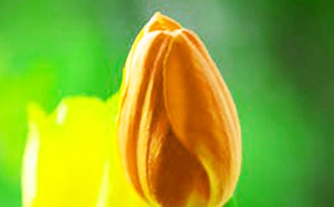 �ɶ�������