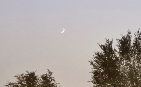 ����������֮���Ϙ侫�c�޿ވ@���x���