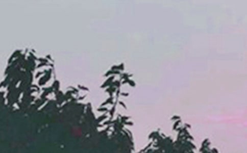 ���P(gu��n)ÿ��һ���簲���Z(y��)22��