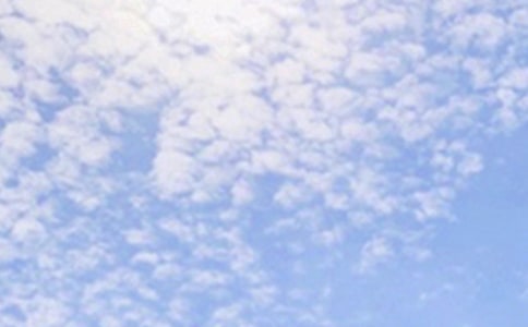 �����簲���������x185�䣩