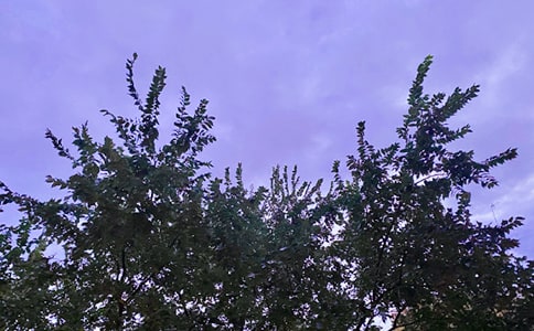 ���΂����簲����45�侫�x