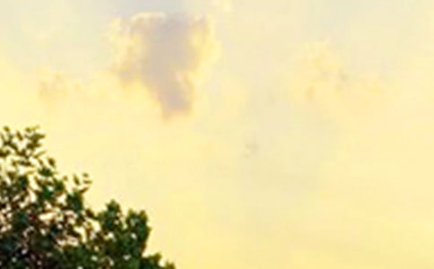 ���؂䡿ÿ��һ���簲���Z(y��)�ϼ�67��
